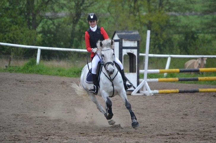 Anden særlig race Moody Bluse - æres runde ;-) billede 12