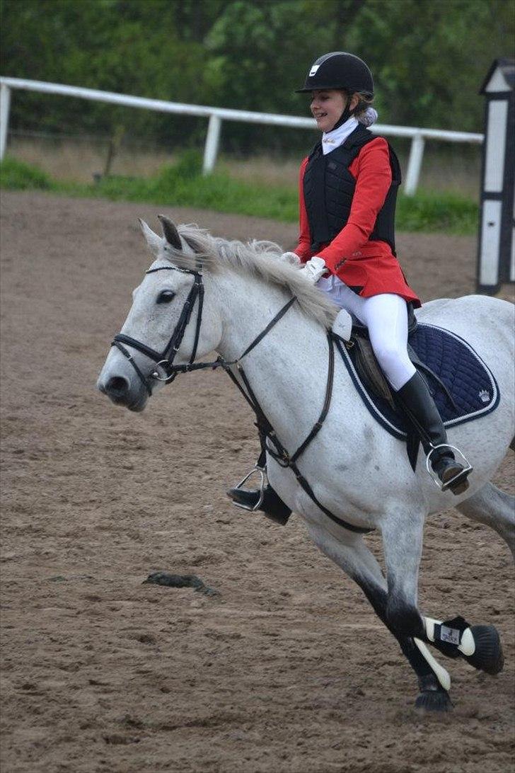 Anden særlig race Moody Bluse - Jeg elsker dig pony! billede 13