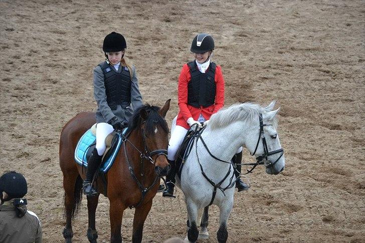 Anden særlig race Moody Bluse - præmie overrækkelse<3. billede 14