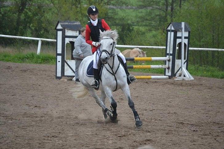 Anden særlig race Moody Bluse - Du sød! billede 15