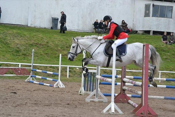 Anden særlig race Moody Bluse - Godt over 80 cm :-) billede 16