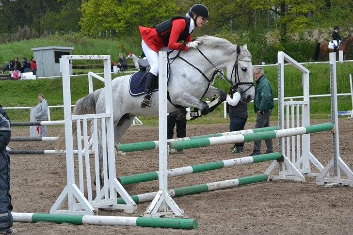 Anden særlig race Moody Bluse - Let <3 billede 17