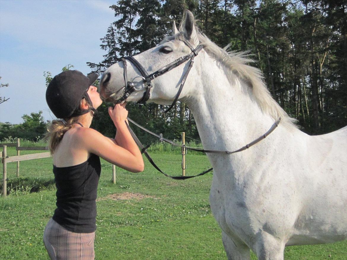 Anden særlig race Moody Bluse - Farvel til verdens sødeste pony! Jeg elsker dig! Håber du har det godt, og ikke er ligeså ked af det som jeg! Du har givet mig de bedste oplevelser, og jeg håber du har nydt vores tid sammen. Håber vi ses en dag! 
- Din Emma<3 billede 18