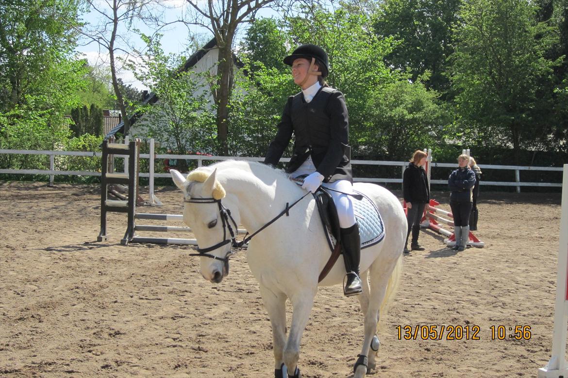 Connemara Columbine<3 - Columbine, med Julie på ryggen<3 billede 2