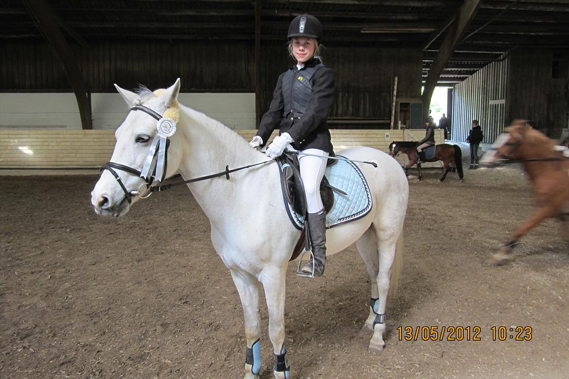 Connemara Columbine<3 - Den pons' er bare søød<3<3<3 billede 6