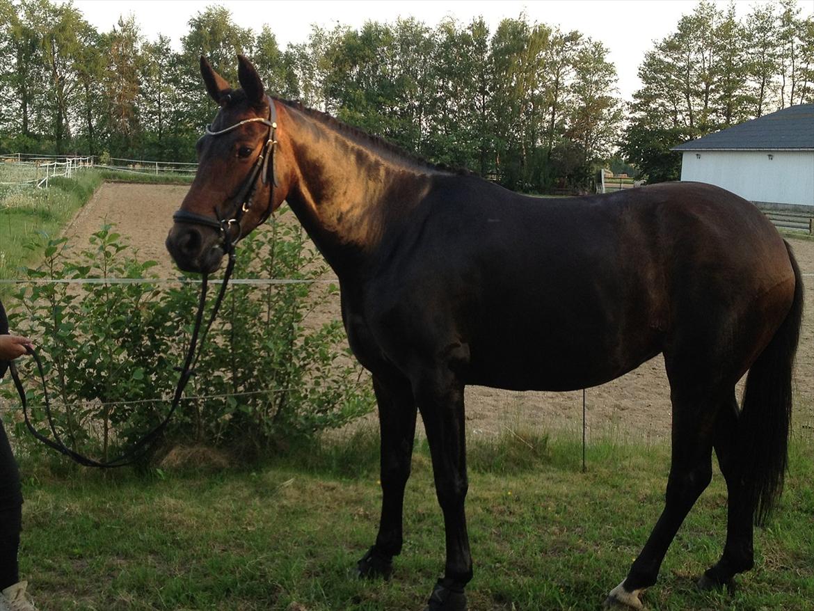 Anden særlig race Fanny fra Stigsgaard - Fuld profil. 
26. maj 2012. billede 15