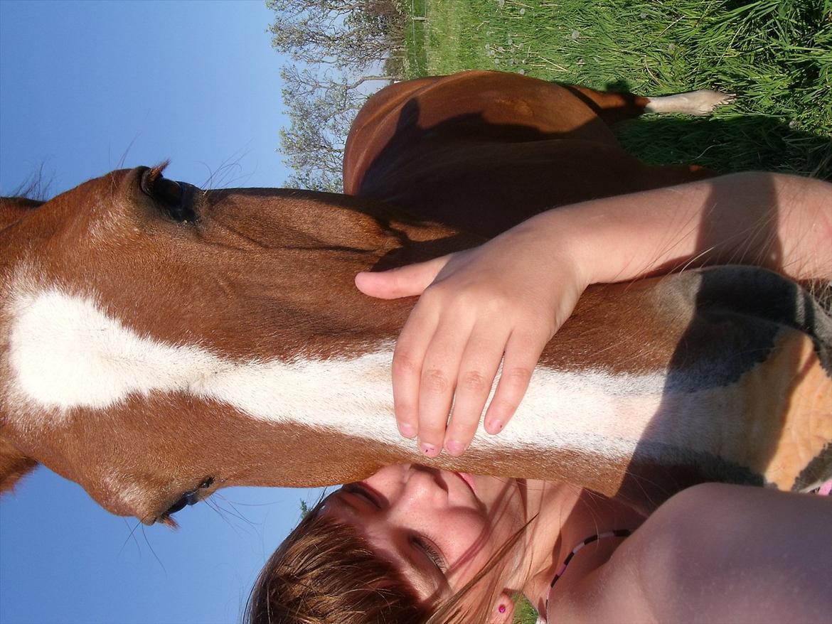 Oldenborg Bøgelys Dixi - Mig og Dixi! billede 4