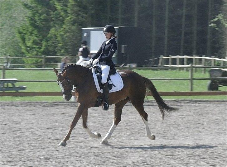 DSP Donnivi - Til disrikt stævne i Hinnerup <3 billede 10