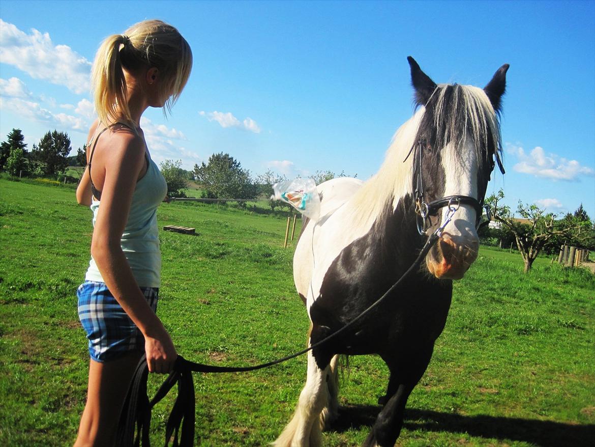 Tinker Madigan - Første møde men en plasticpose hun var så dygtig :') billede 3