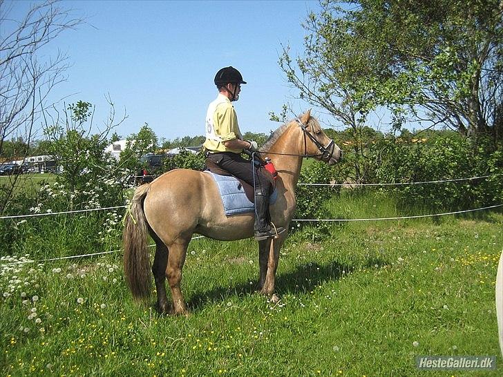 Anden særlig race RAS "Flotte fyr" - 26 Maj 2012
Start ved Dagmarrit billede 3