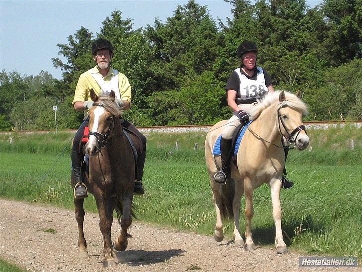 Anden særlig race RAS "Flotte fyr" - Harry og Ras sammen med Mig og Augusta på vej i Mål efter et vellykket Dagmar rit Maj 2012 billede 4
