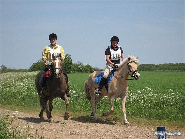 Anden særlig race AUGUSTA *sød sag* - Dagmarrittet 26 Maj 2012
Ude på ruten sammen med Ras og Harry billede 1