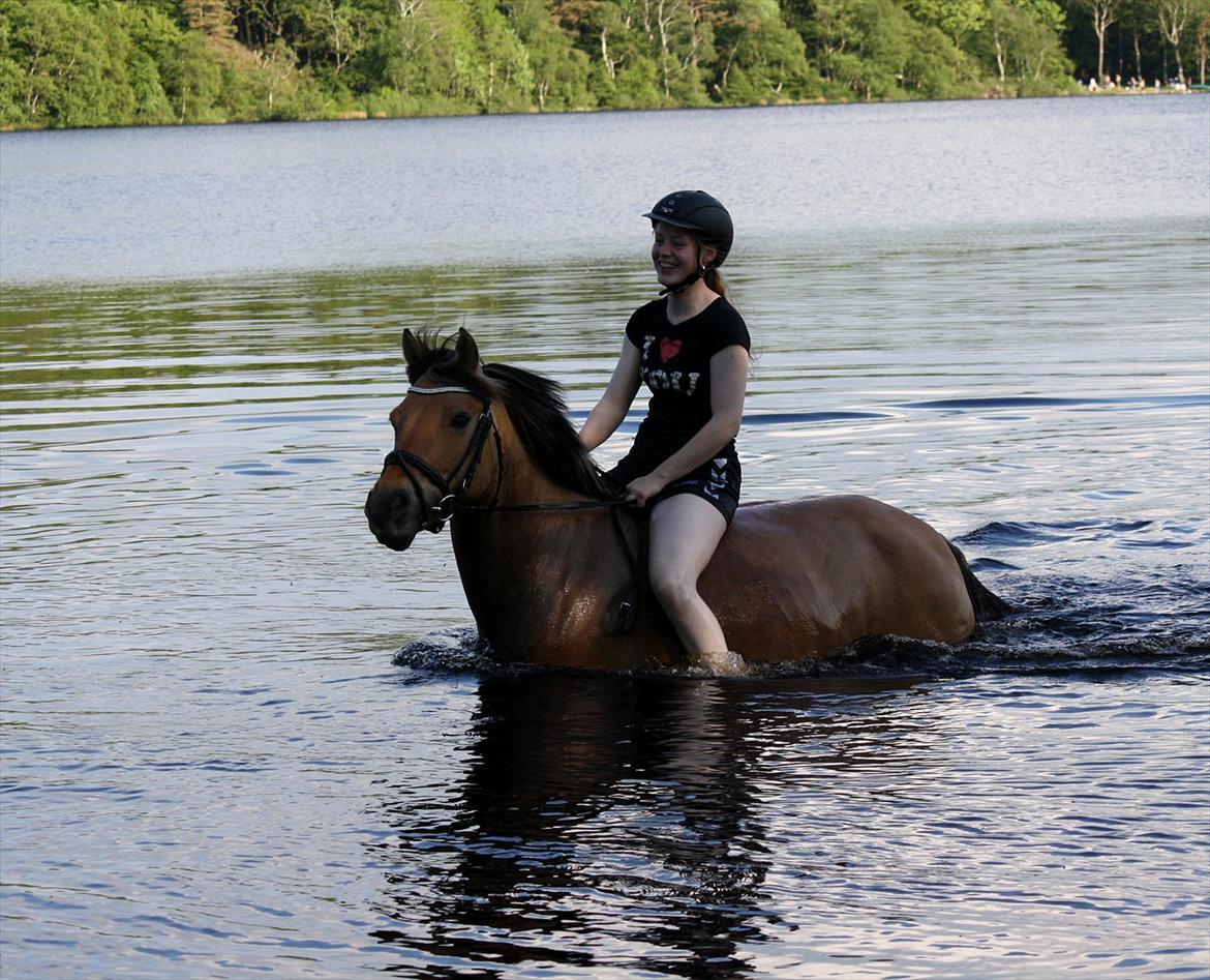 Anden særlig race Lady<3 billede 17