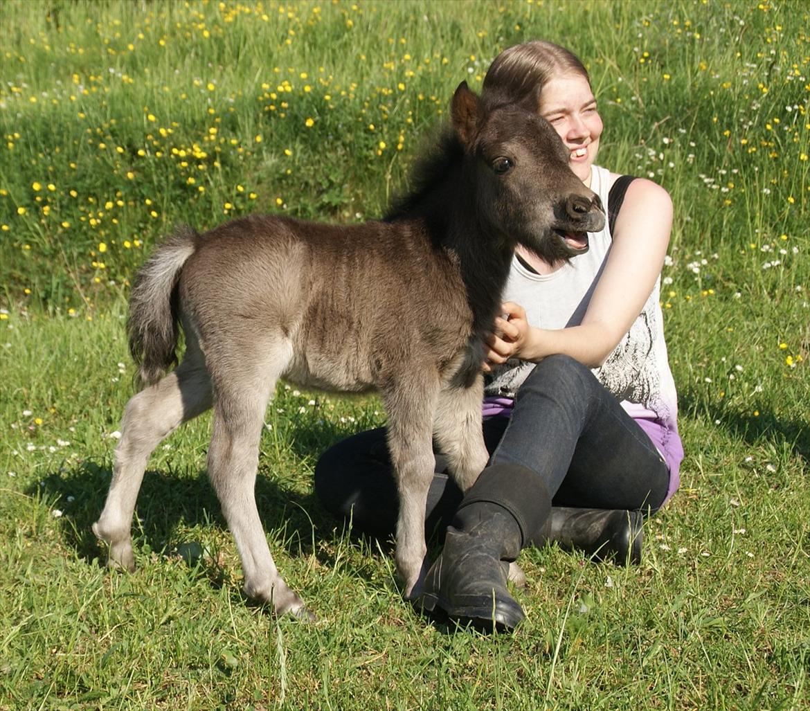 Dansk Miniature RKG Designs Dark Knight - D. 27 maj - bliver nusset.  billede 16