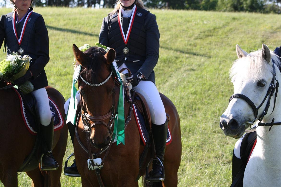 Anden særlig race Kyara *SEJE-REJE* - Smukke Kylle <3 nummer 3 til D4-holmesterskaberne 2012. vi havde 3 ud af 3 mulige 0-runder! kyller er blevet STJERNE! <3 <3 billede 13