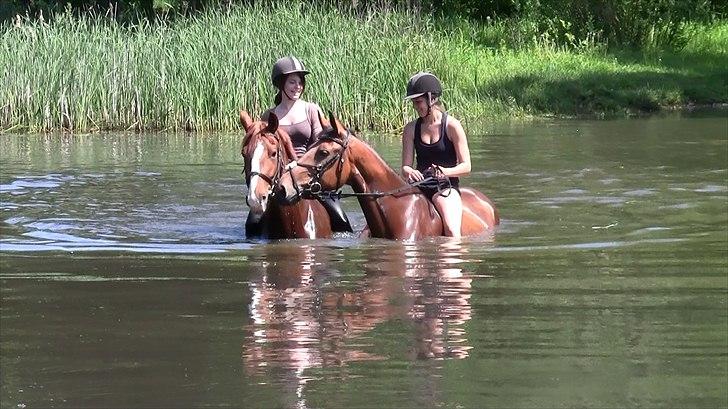 Frederiksborg Zaini Brentedal - Zaini og Coco <3 billede 4