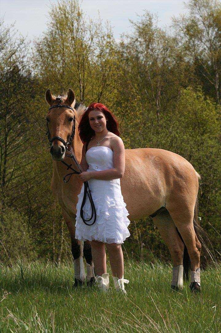 Fjordhest Ronaldo - Konfirmation 4. maj 2012
Fotograf: Bjarne :) billede 11