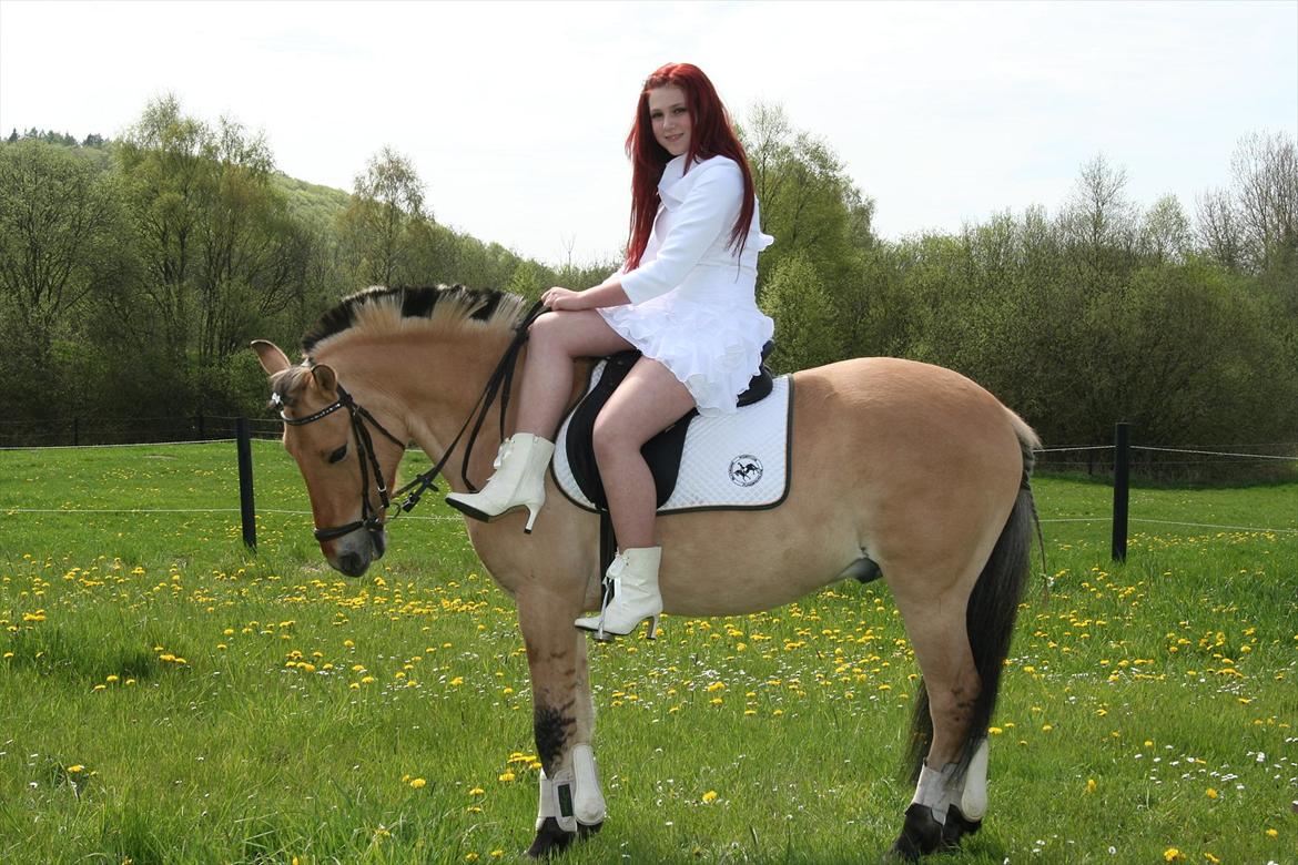 Fjordhest Ronaldo - Konfirmation 4. maj 2012
Fotograf: Bjarne :) billede 12