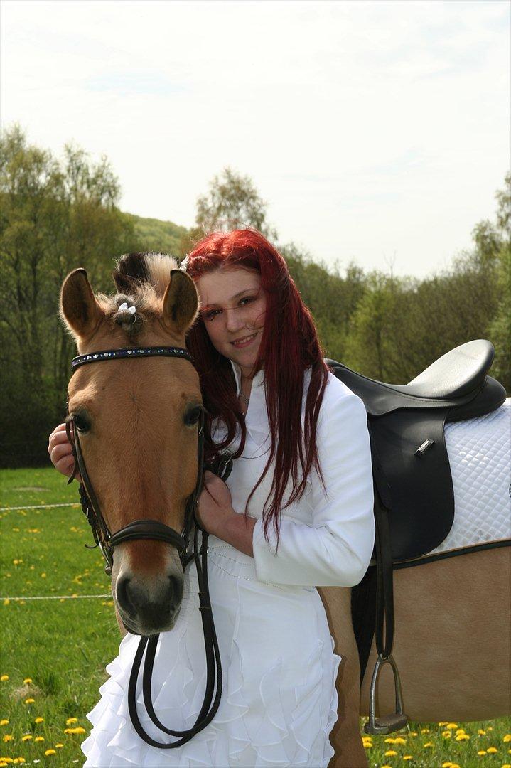 Fjordhest Ronaldo - Konfirmation 4. maj 2012
Fotograf: Bjarne :) billede 13