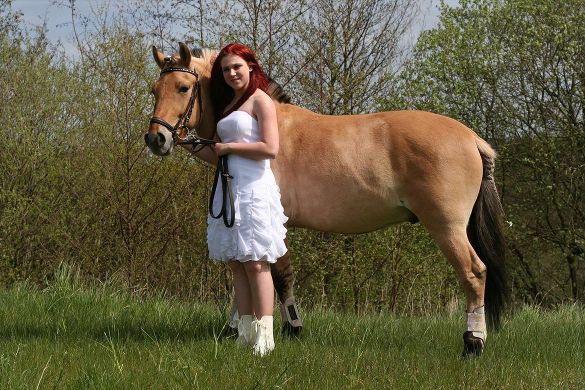 Fjordhest Ronaldo - Konfirmation 4. maj 2012
Fotograf: Bjarne :) billede 14