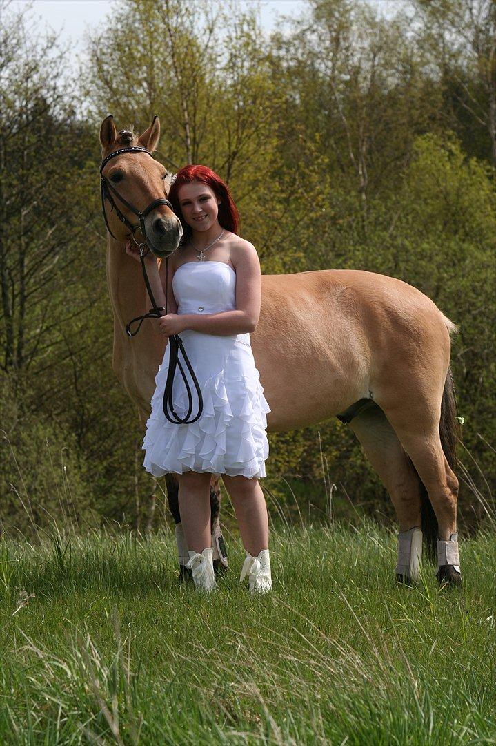 Fjordhest Ronaldo - Konfirmation 4. maj 2012
Fotograf: Bjarne :) billede 15