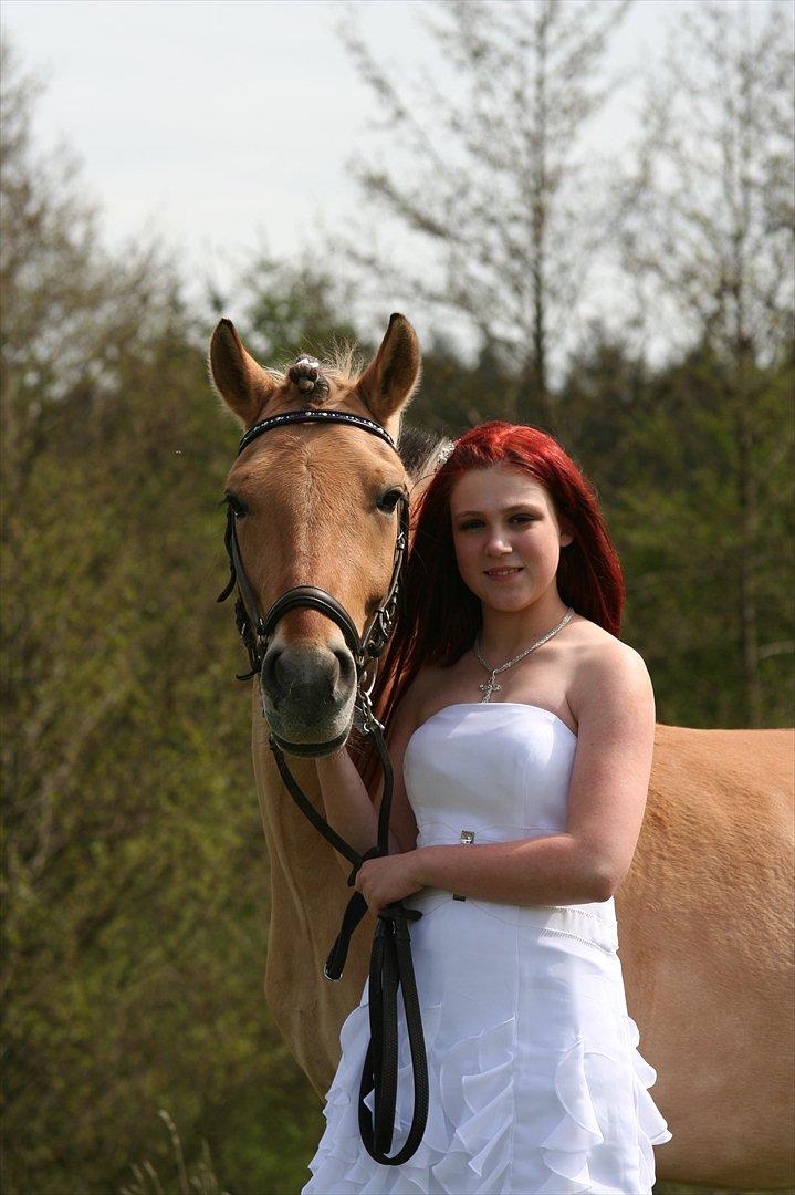 Fjordhest Ronaldo - Konfirmation 4. maj 2012
Fotograf: Bjarne :) billede 16