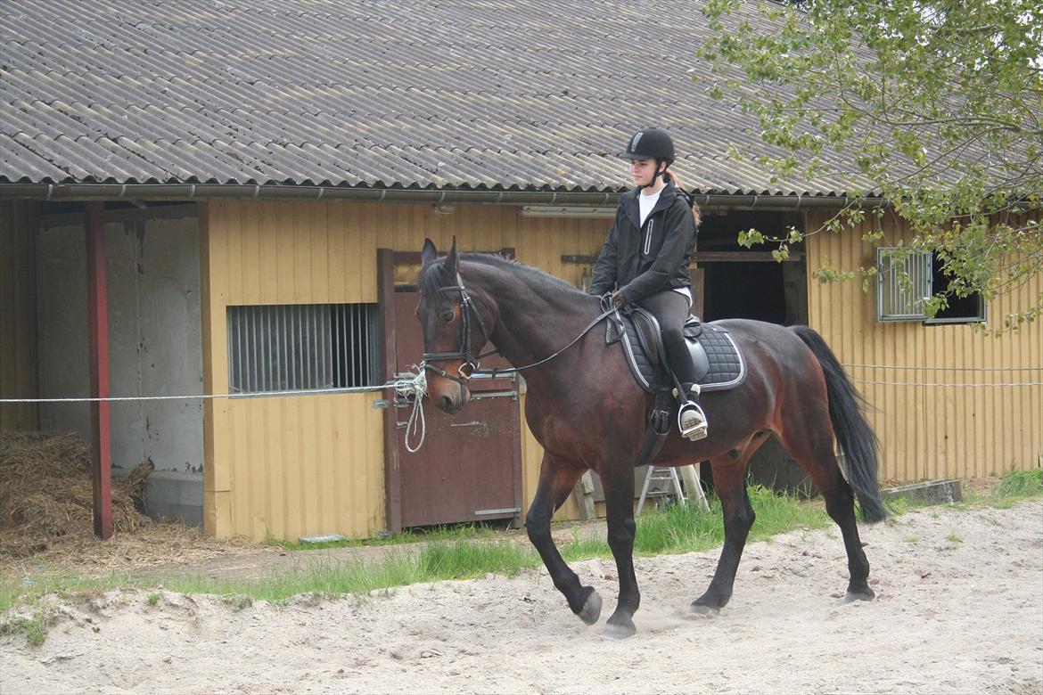 Oldenborg Kong Knud - Den bedste :* - KK og jeg på HAIR :-) Foto: Klara J. billede 9