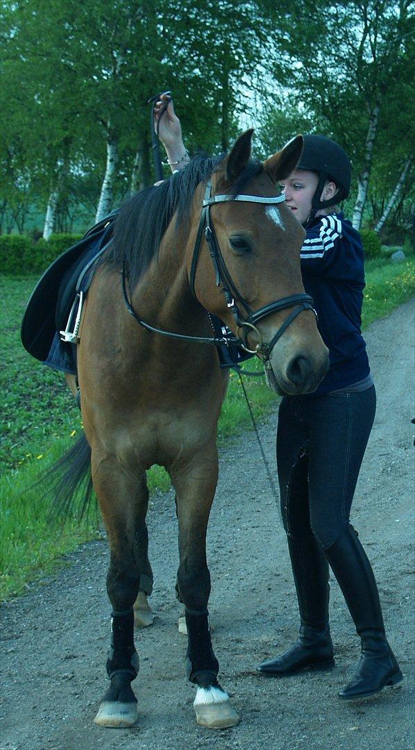 Anden særlig race | Simba | - Skal til at hoppe op. (den 18. maj 2012) billede 1