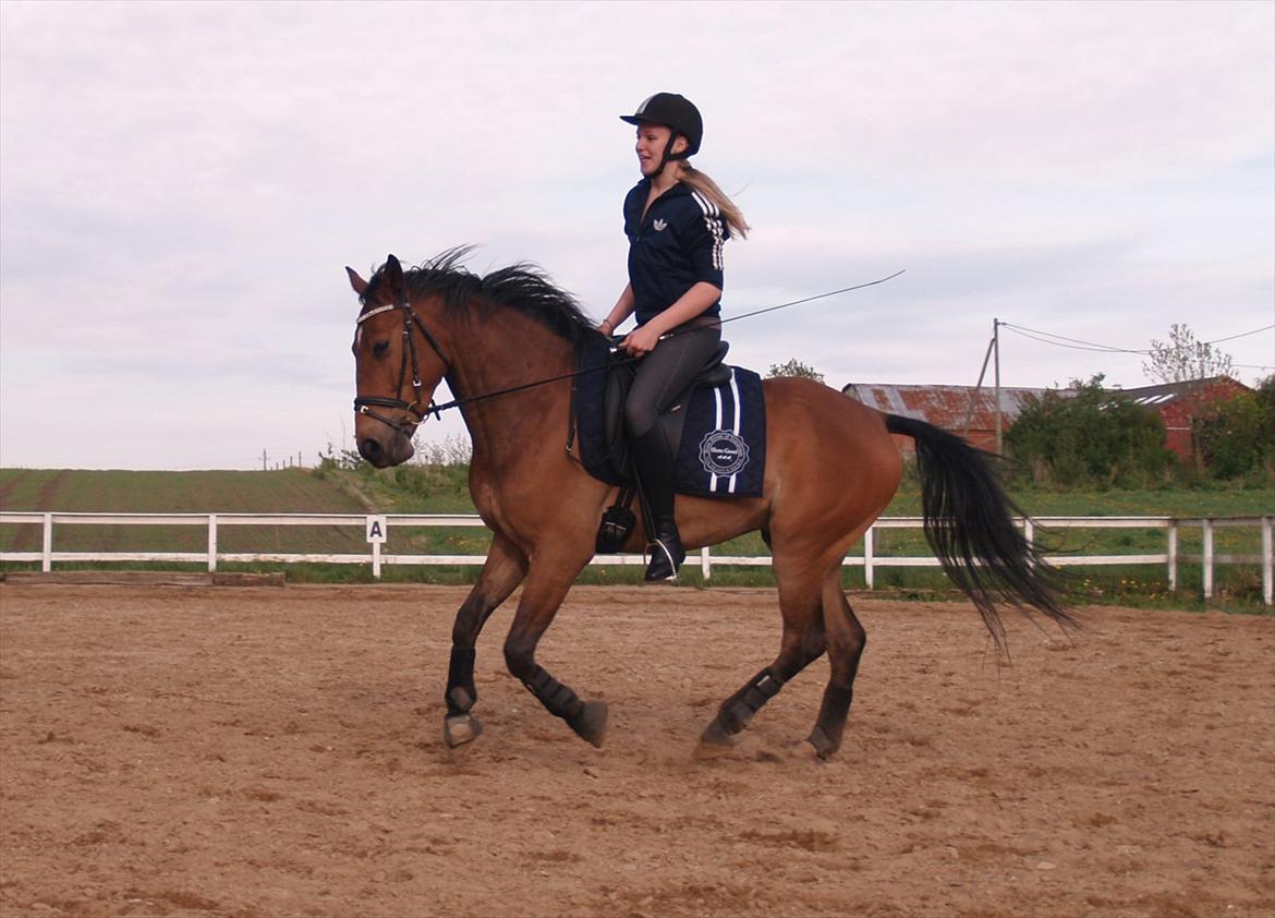Anden særlig race | Simba | - Galop. (den 18. maj 2012) billede 4