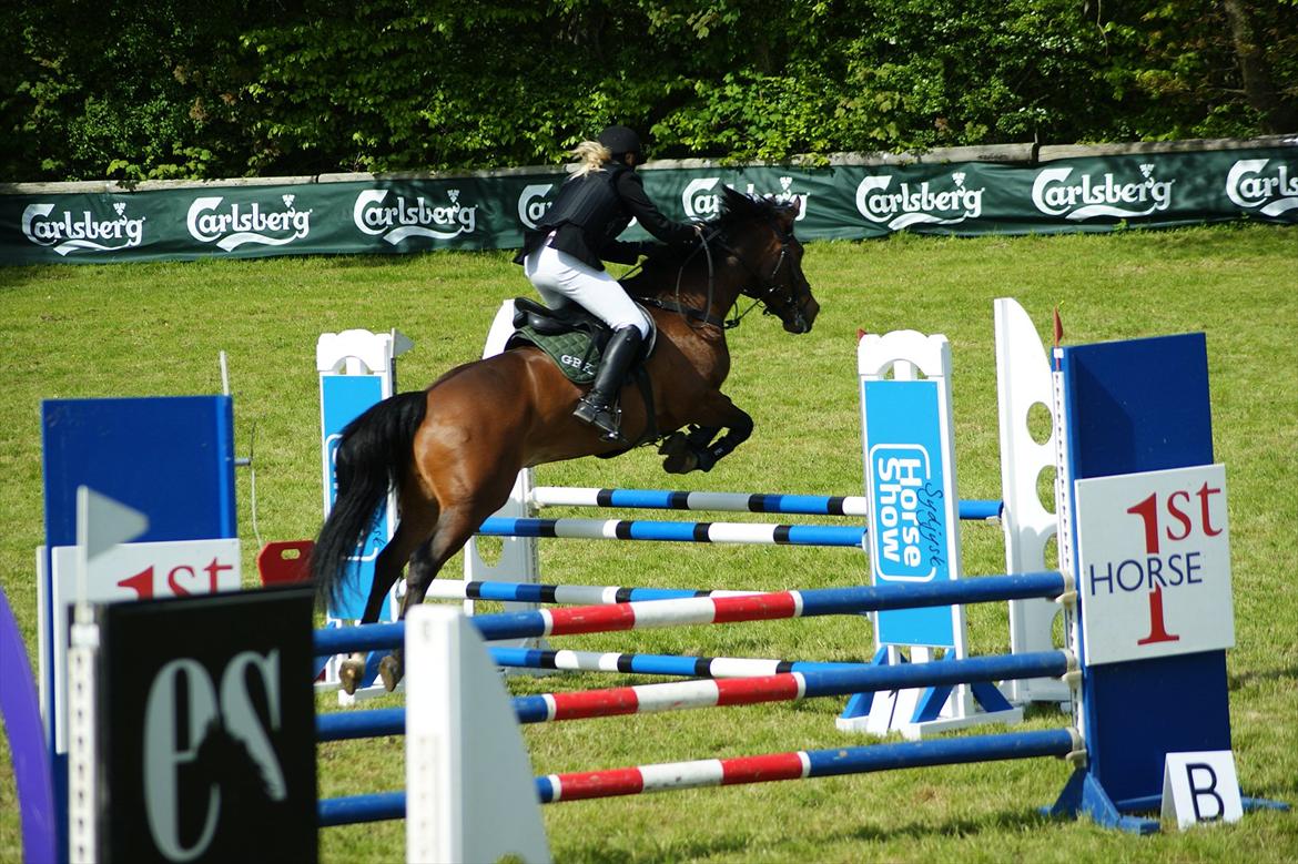 Anden særlig race Søvinds Zimba billede 2