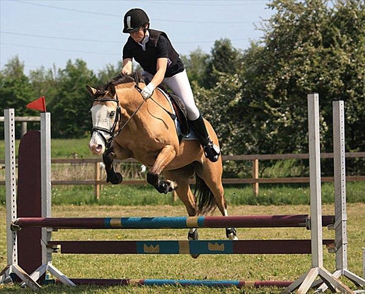 DSP Gloria  B-Pony - Stævne på SAR
fotograf: Cecilie billede 20