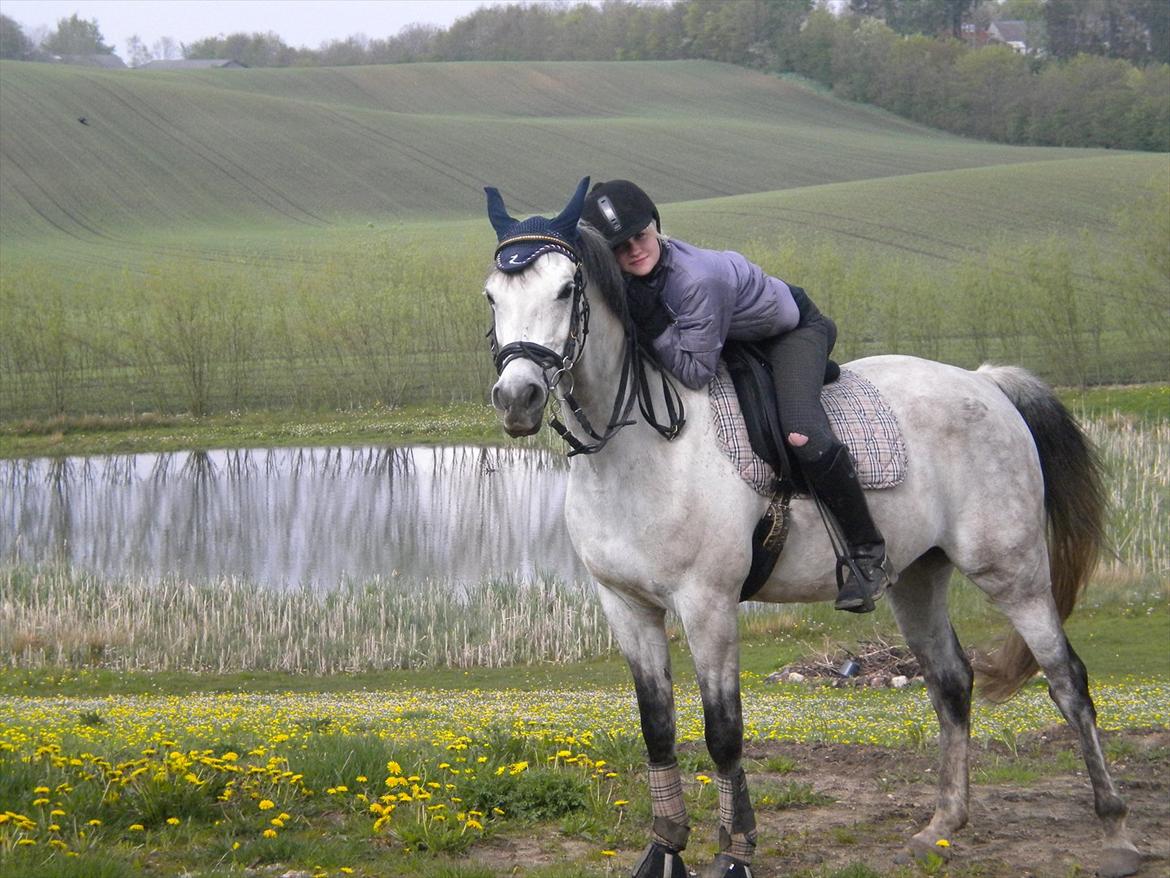 Arabisk fuldblod (OX) CA Kemt ox - Mig og min dejlige hest kemt.<33 billede 1