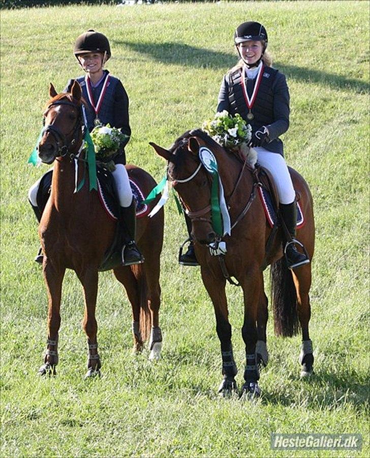 New Forest le philip - nummer 3 til D4mesterskab 2012 billede 6