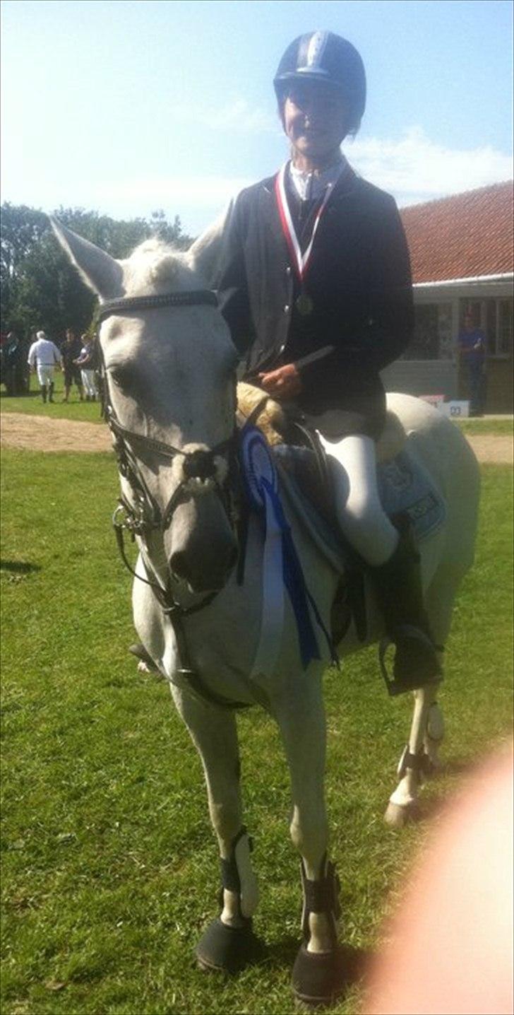 Anden særlig race Tøsen - mesterskab tøsen billede 2