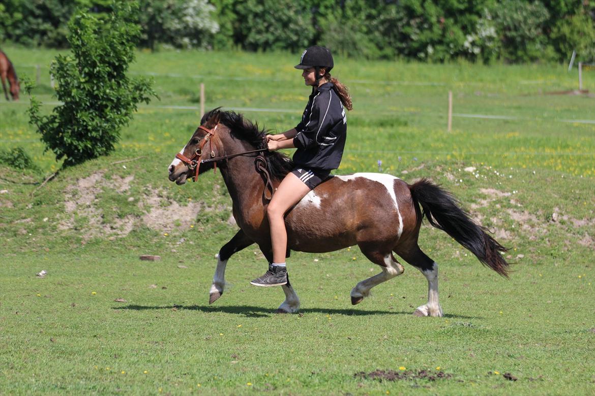 Anden særlig race ~||FRIDA||~<3 - Sommer- 2012. billede 11