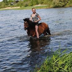 Shetlænder Manjo ||Part/Passer||