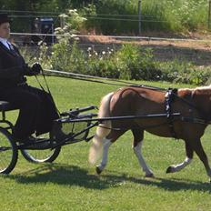 Dansk Miniature Katrinesmindes Maranello