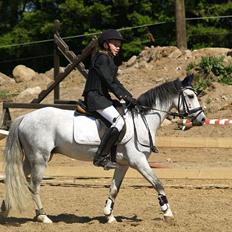 Anden særlig race Vestergårds Filur