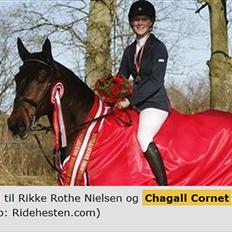 Dansk Varmblod Chagall Cornett -ViNDER DM 2012-
