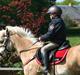 Welsh Pony af Cob-type (sec C) Åvangs Pepita (Pippi)