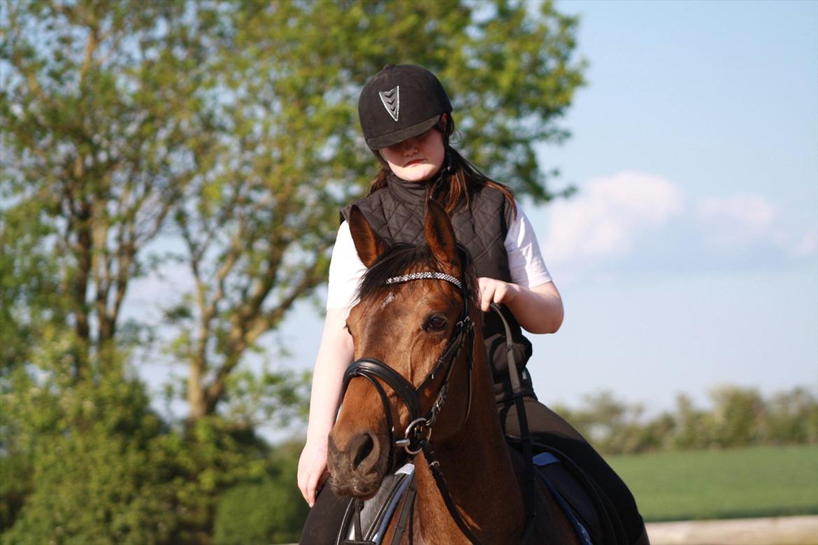 Holstener Cassi billede 2