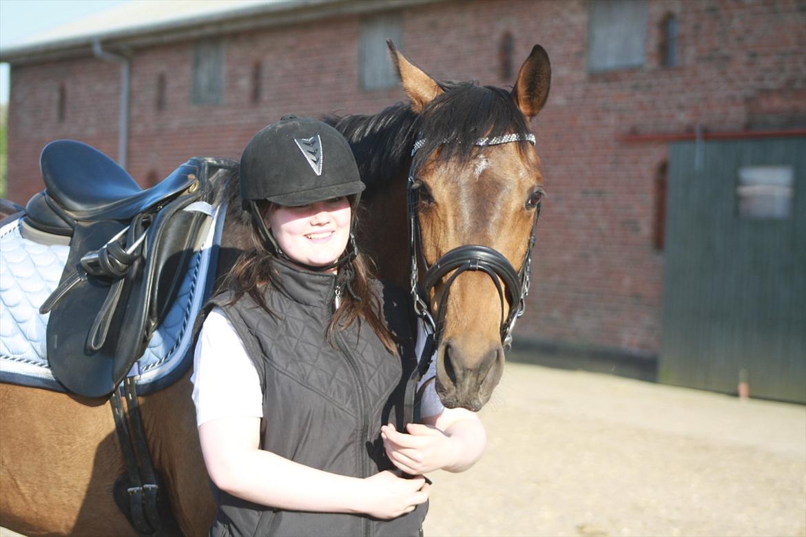 Holstener Cassi billede 10