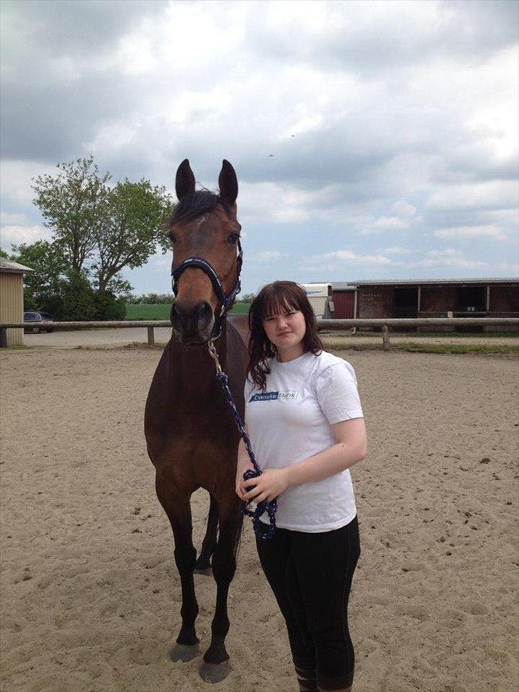 Holstener Cassi - Første dag, jeg fik hende hjem billede 17