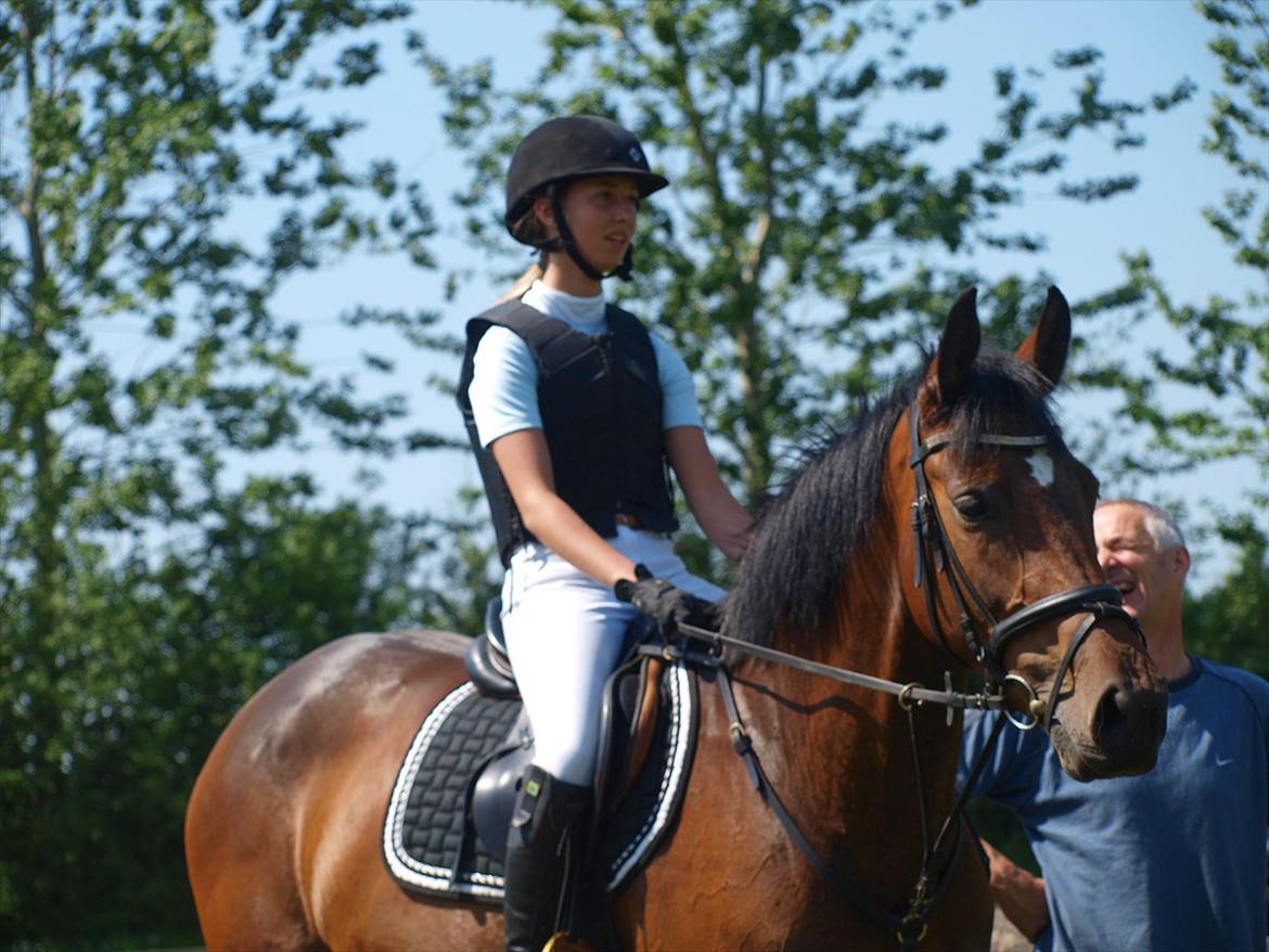 Dansk Varmblod Le Andrea - Til hendes første stævne :-) billede 13