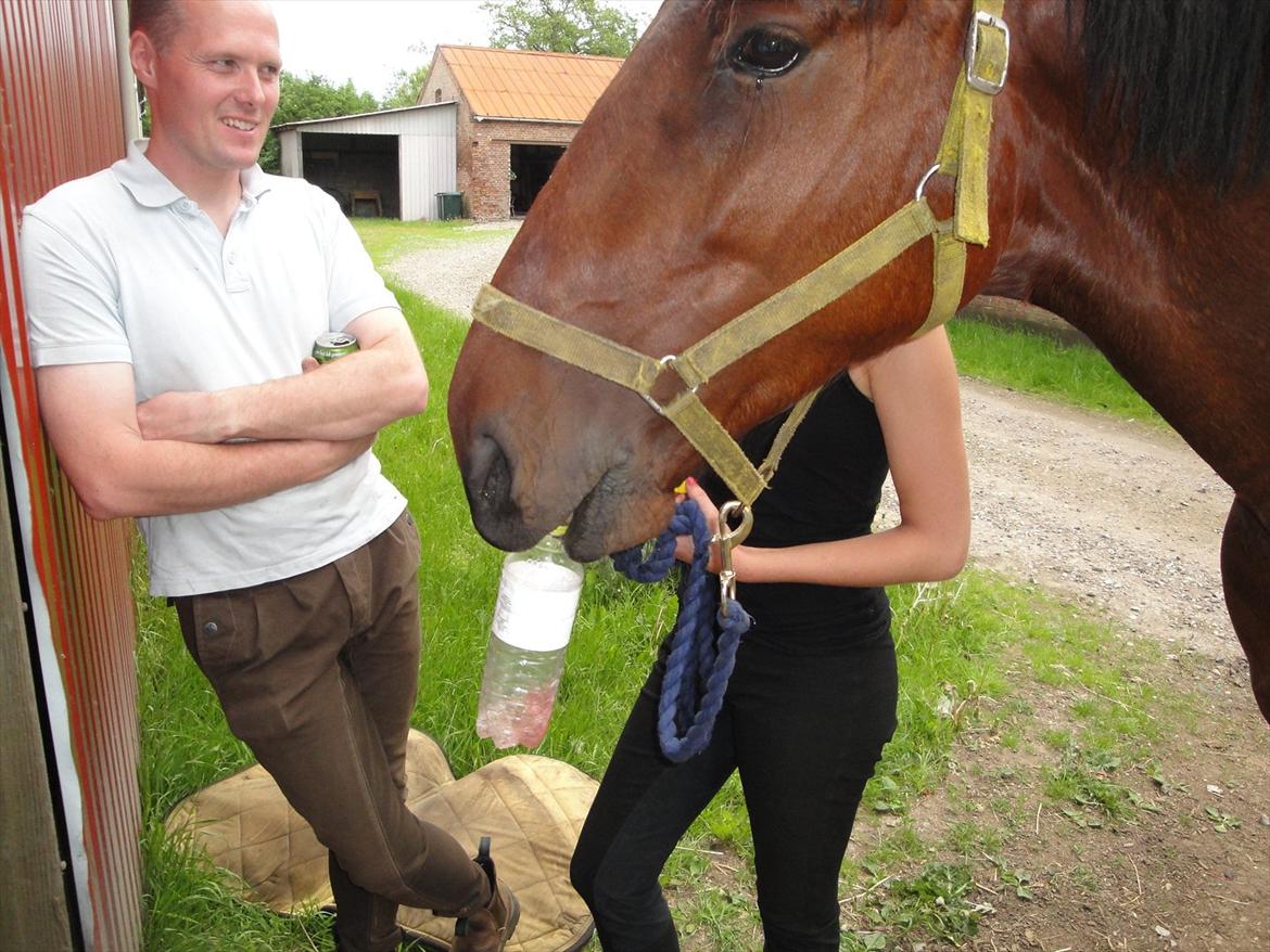 Anden særlig race TT (Tempo) billede 5