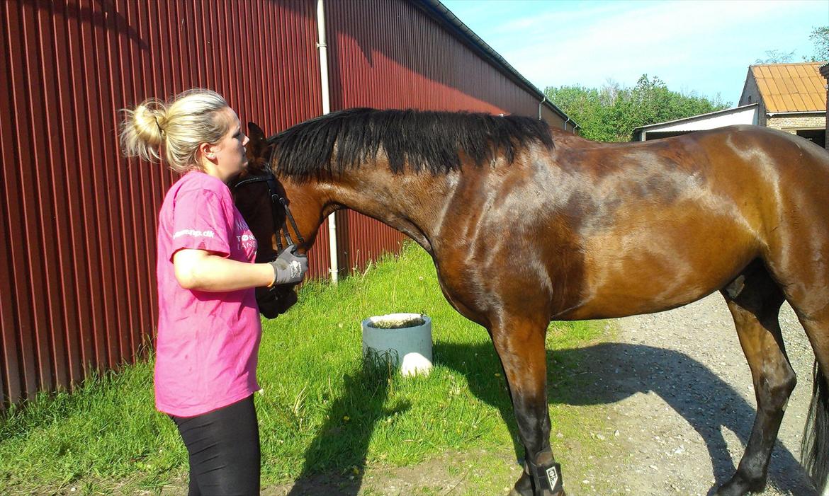 Anden særlig race TT (Tempo) billede 9