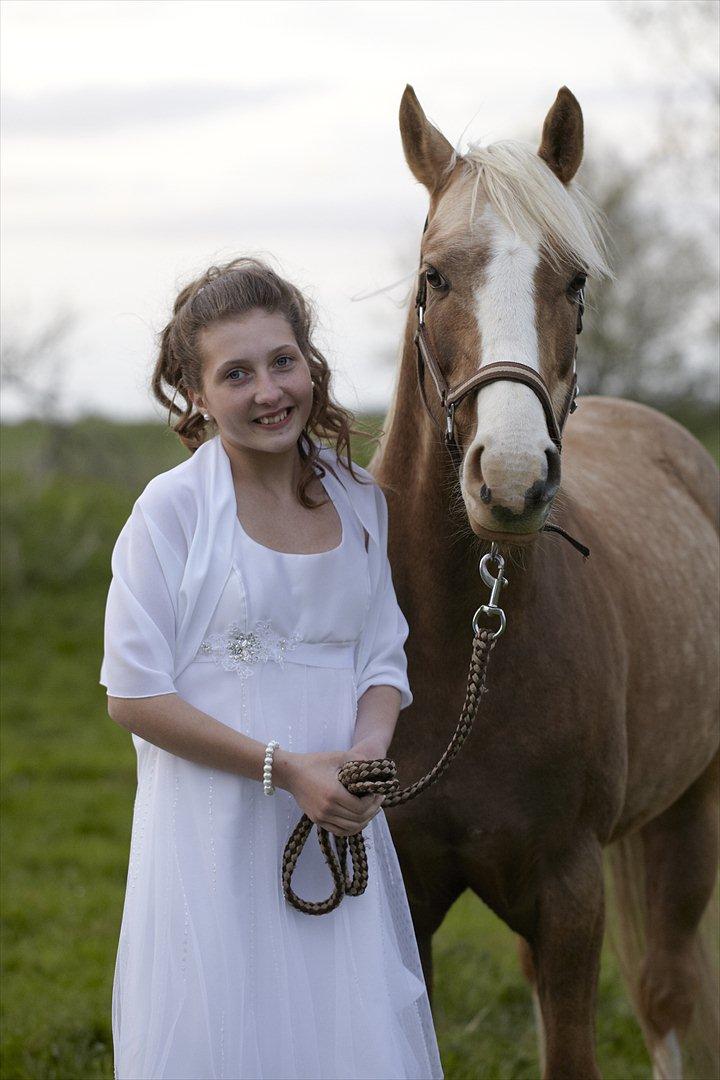 Hollandsk Sportspony Lodius |Smørblomst|<3 - Friends we are, friends we will be, friends forever, you and me ♥

Konfirmation♥ billede 1