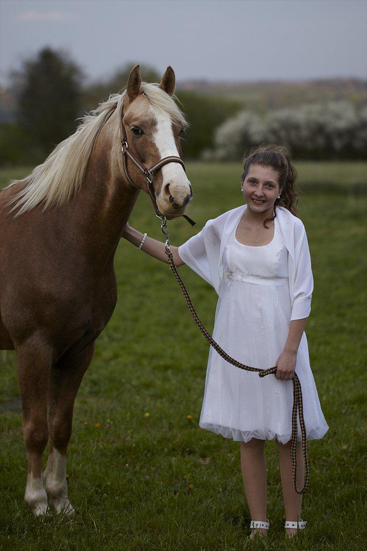 Hollandsk Sportspony Lodius |Smørblomst|<3 - Jeg elsker dig min skat♥♥♥♥ billede 20