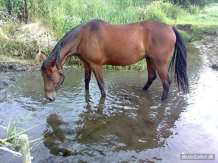 Traver Luke billede 2