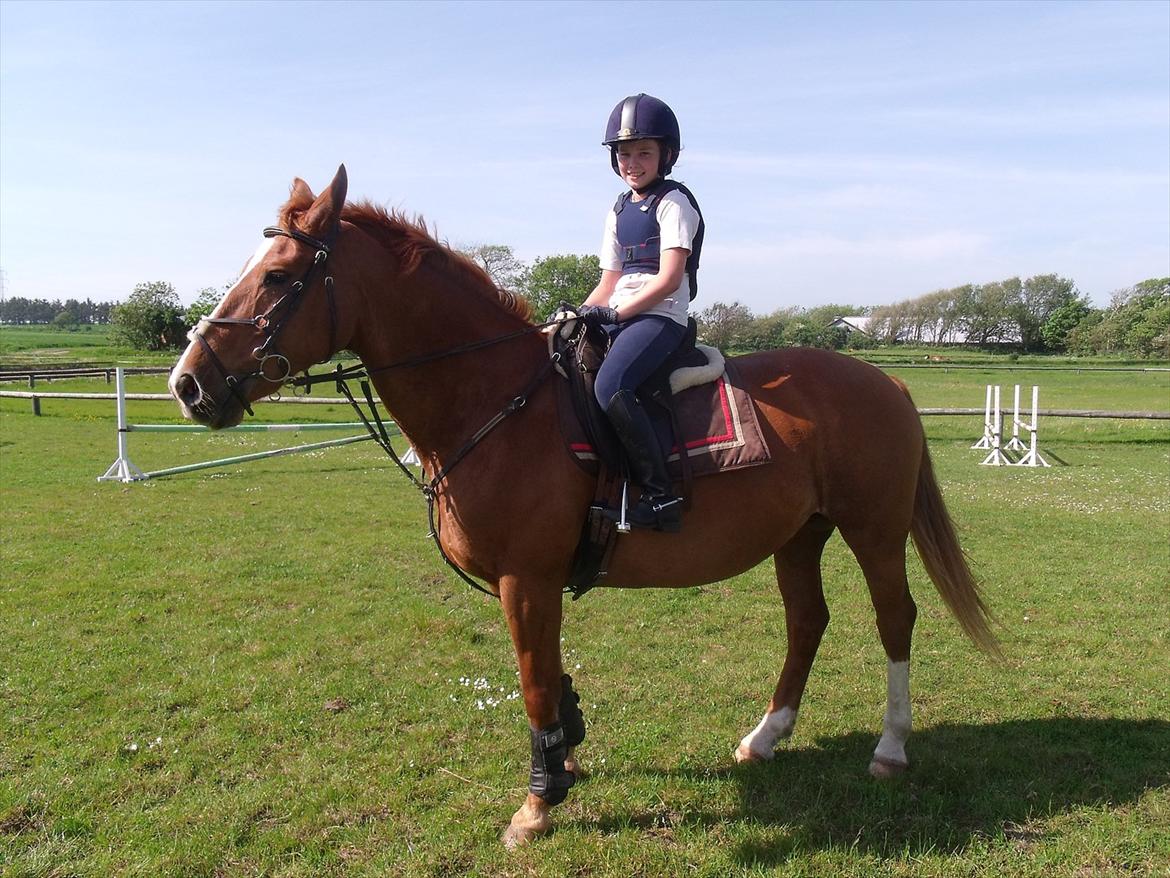 Oldenborg Bøgelys Dixi - Spring - 28 maj 2012.<3 billede 9